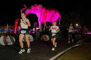 BIB: 
                            <button type="button" onclick="openModal(26534926)" class="btn btn-primary btn-sm float-right btn-popup" data-toggle="modal" data-target=".modal-high-quality">
                        <i class="fas fa-shopping-cart"></i> Add to Cart
                    </button>
                                            <button type="button" onclick="isThisMe(26534926, true)" class="btn btn-success btn-sm float-right btn-popup btn-isme hidden" data-toggle="tooltip" data-placement="bottom" title="นี่คือรูปของคุณใช่ไหม คลิกที่นี่เพื่อเอาเข้าอัลบั้ม">
                        <i class="fas fa-plus"></i> Add to album
                    </button>
                    <button type="button" onclick="isThisMe(26534926, false)" class="btn btn-warning btn-sm float-right btn-popup btn-isnotme hidden">
                        <i class="fas fa-ban"></i> Remove from album
                    </button>